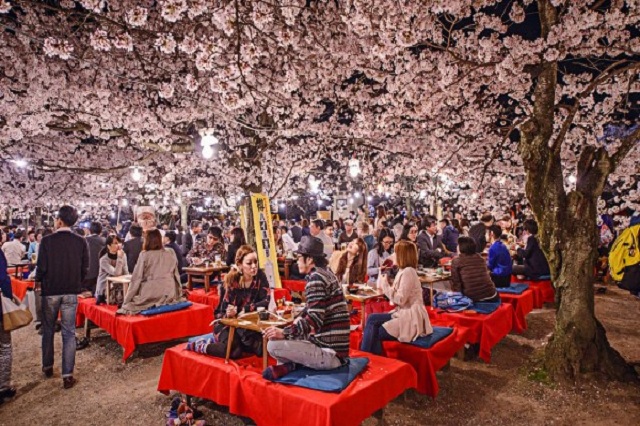 Mách cho bạn những điểm ngắm hoa mùa xuân đẹp nhất ở Kyoto