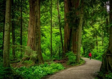 Những điểm đến chưa bao giờ ngừng hot ở Vancouver